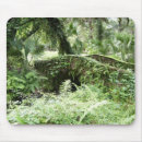 Recherche de passerelle tapis souris Vert