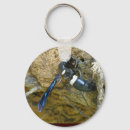 Recherche de guêpe porteclés Insecte