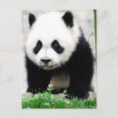 Recherche de sichuan cartes postales Nature