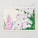 Recherche de maïs cartes postales Fleur