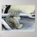 Recherche de loups sauvages posters Faune