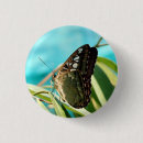 Recherche de ailes papillon badges Nature