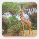 Recherche de tache animale de girafe autocollants Pour tous