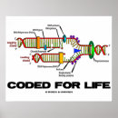 Recherche de dna posters Génétique