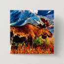 Recherche de taureau badges Vintage