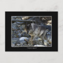 Recherche de protection des animaux cartes postales Faune