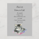 Recherche de humour chat cartes postales Animal