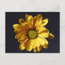 Recherche de désagréable posters Fleur
