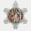 Recherche de pitbull ornements Chien