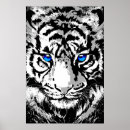 Recherche de tigres blancs posters Tigre blanc