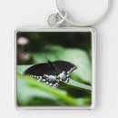 Recherche de ailes de papillon porteclés Vert