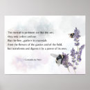 Recherche de huiles essentielles posters Lavande