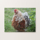 Recherche de rooster puzzles Ferme