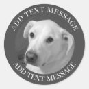 Recherche de âne autocollants Photographie