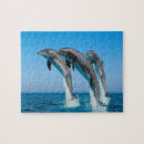 Recherche de dolphin puzzles Mer