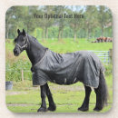 Recherche de cheval dessous de verres Nature