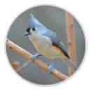 Recherche de oiseaux boutons et poignées de porte Hiver