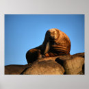Recherche de le penseur posters Nature