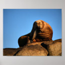Recherche de penseur posters Nature