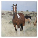 Recherche de montagne carreaux Troupeau