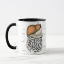Recherche de organes internes tasses Humain