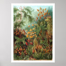 Recherche de beauté art Nature