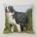 Recherche de de border collie coussins Plomb et pam langrish