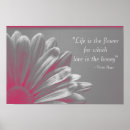 Recherche de gerber rose art Fleurs