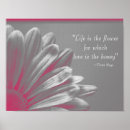 Recherche de marguerite rose de gerber art Floral