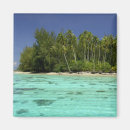 Recherche de polynesie magnets Turquoise