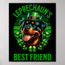 Recherche de leprechaun posters Irlandais