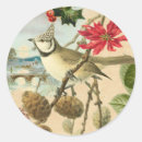Recherche de oiseau de noël autocollants Pour tous
