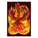 Recherche de oiseau phoenix posters Feu