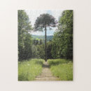 Recherche de symétrie photographie Arbre