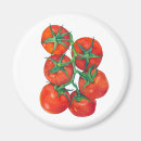 Recherche de mûr magnets Rouge