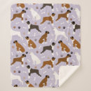 Recherche de boxer blankets Dog