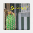 Recherche de différent magnets Inspiré