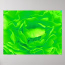 Recherche de vert posters Fleurs