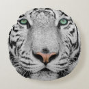 Recherche de yeux de tigre coussins Plan rapproché