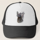 Recherche de koala casquettes Australie