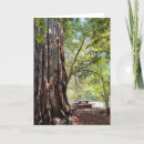 Recherche de pique nique vœux cartes Forêt