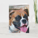 Recherche de boxeur vœux cartes Animal