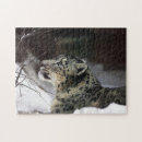 Recherche de chat sauvage puzzles Neige