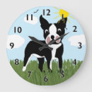 Recherche de boston terrier et bande Chien