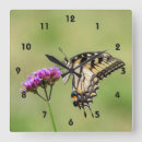 Recherche de insectes horloges Pour elle
