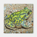 Recherche de crapaud magnets Faune