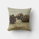 Recherche de tons terreux coussins Nature