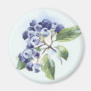Recherche de buisson magnets Baie