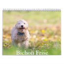 Recherche de bichon bureau fournitures Dog