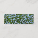 Recherche de marais cartes visite Bleu